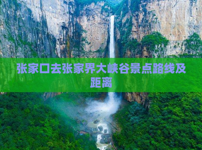 张家口去张家界大峡谷景点