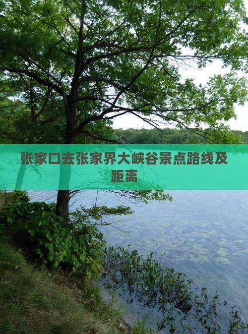 张家口去张家界大峡谷景点