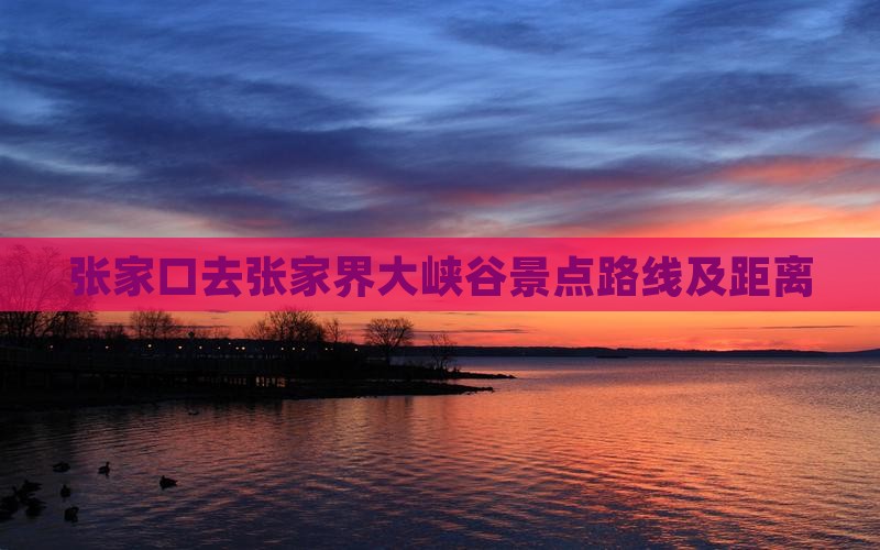 张家口去张家界大峡谷景点