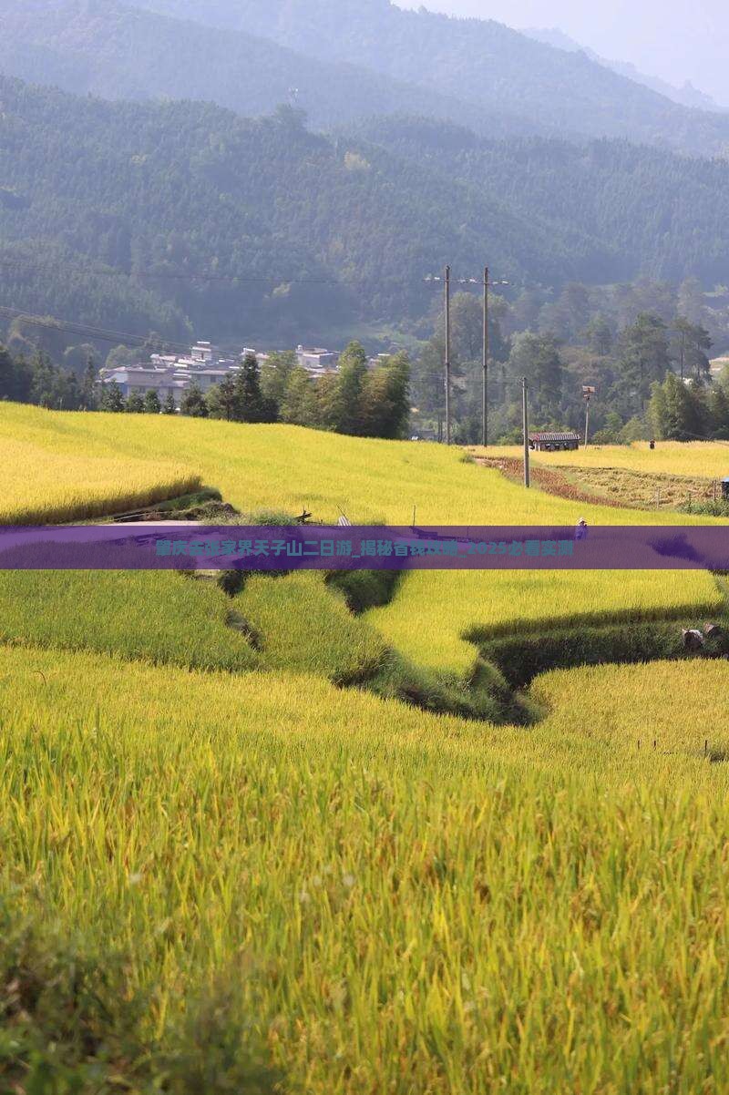 肇庆去张家界天子山二日游