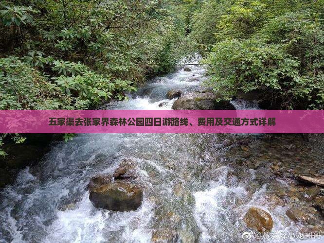 五家渠去张家界森林公园四日游