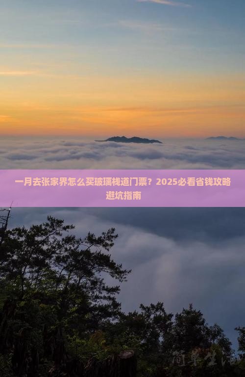 一月到张家界玻璃栈道门票