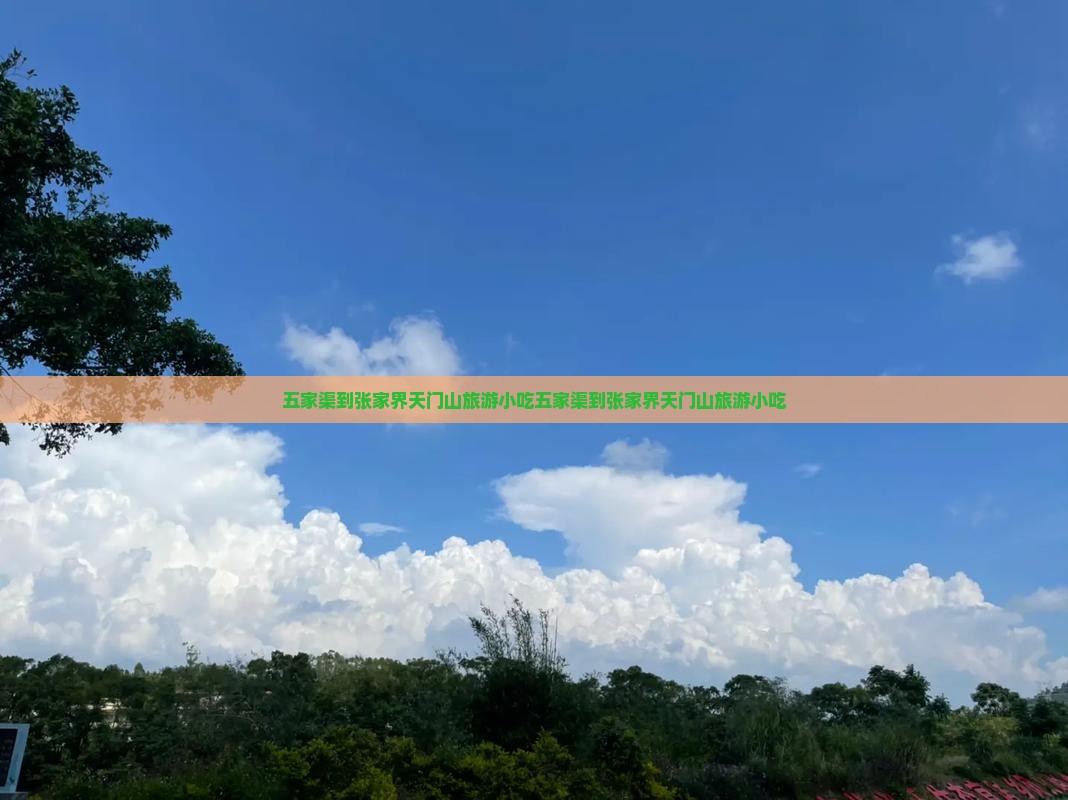 五家渠到张家界天门山旅游小吃