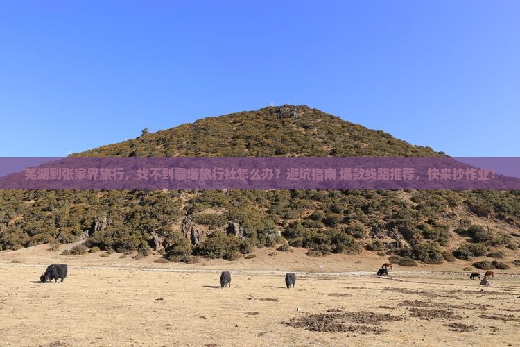 芜湖到张家界旅行社