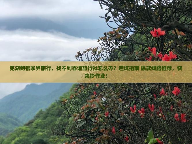 芜湖到张家界旅行社