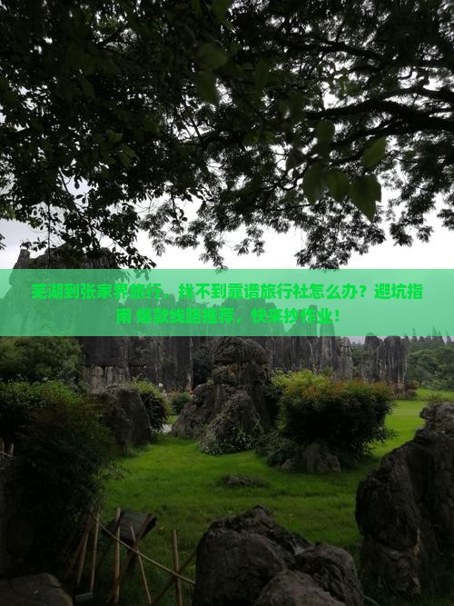 芜湖到张家界旅行社