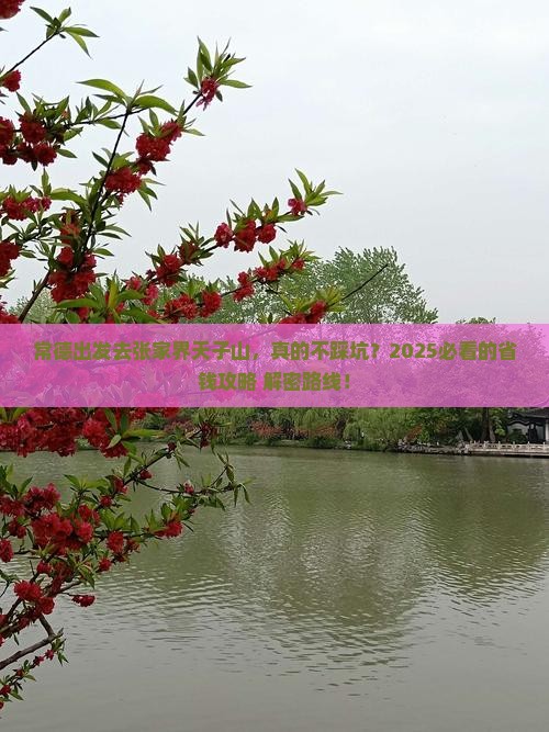 常德到张家界天子山攻略