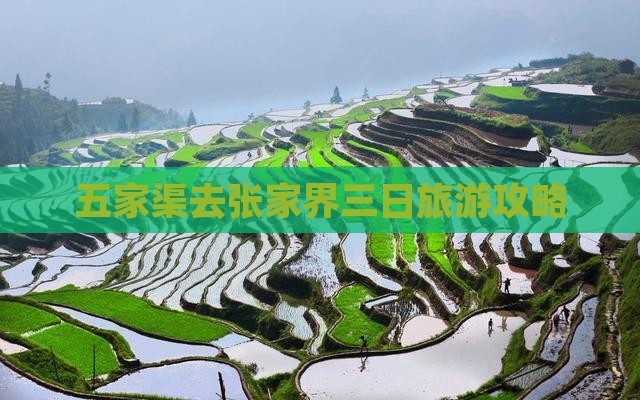 五家渠去张家界天门山三日游