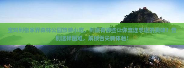 宝鸡到张家界森林公园旅游小吃
