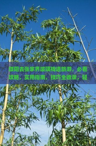 濮阳去张家界玻璃栈道旅游