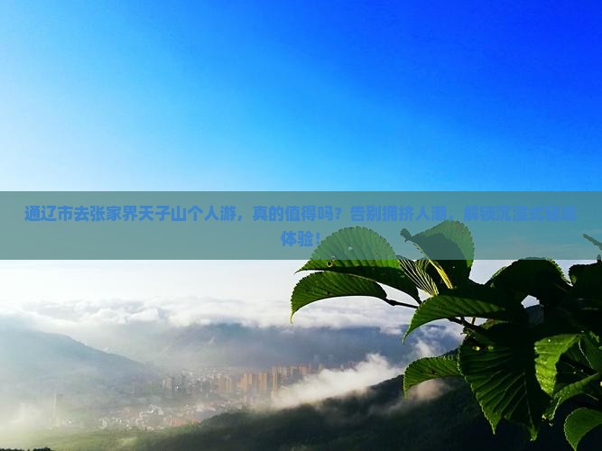 通辽市去张家界天子山个人游