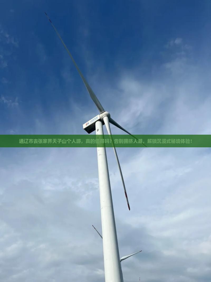 通辽市去张家界天子山个人游