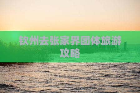 钦州去张家界团体旅游