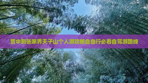 晋中到张家界天子山个人游