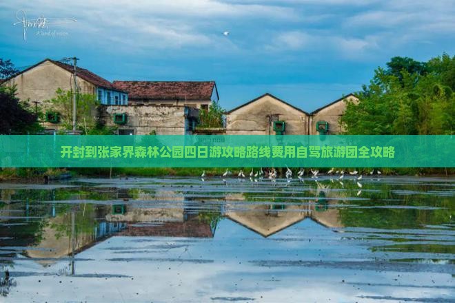 开封到张家界森林公园四日游