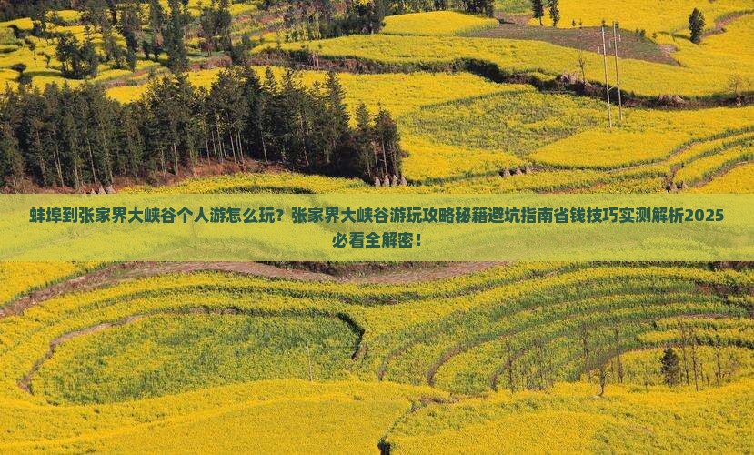 蚌埠到张家界大峡谷个人游