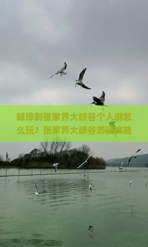 蚌埠到张家界大峡谷个人游