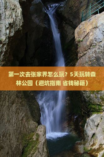 来宾去张家界森林公园五日游
