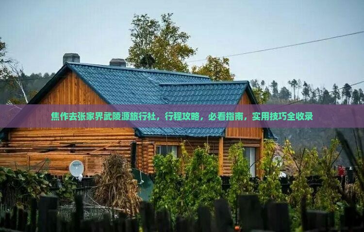 焦作去张家界武陵源旅行社