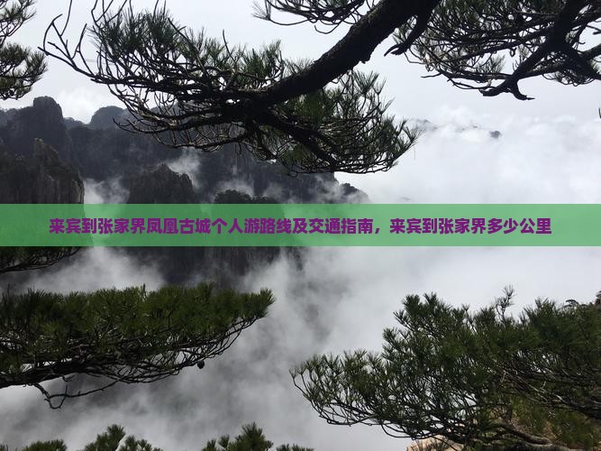 来宾到张家界凤凰古城个人游