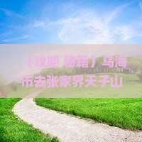 乌海市去张家界天子山大型旅游团