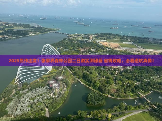 焦作去张家界森林公园二日游