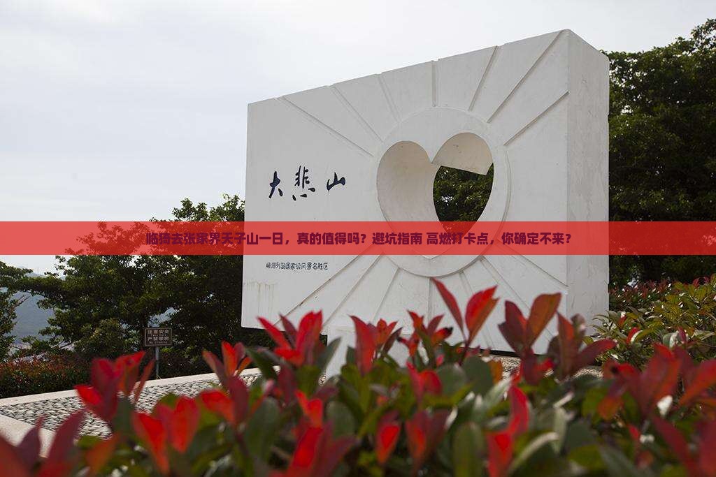 临猗去张家界天子山一日