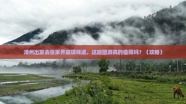 漳州去张家界玻璃栈道团体旅游