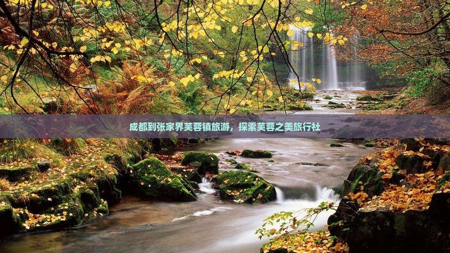 成都到张家界芙蓉镇旅行社