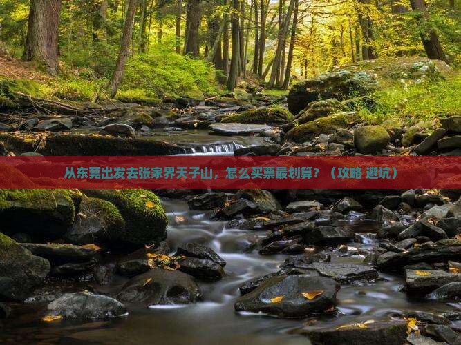 东莞去张家界天子山门票