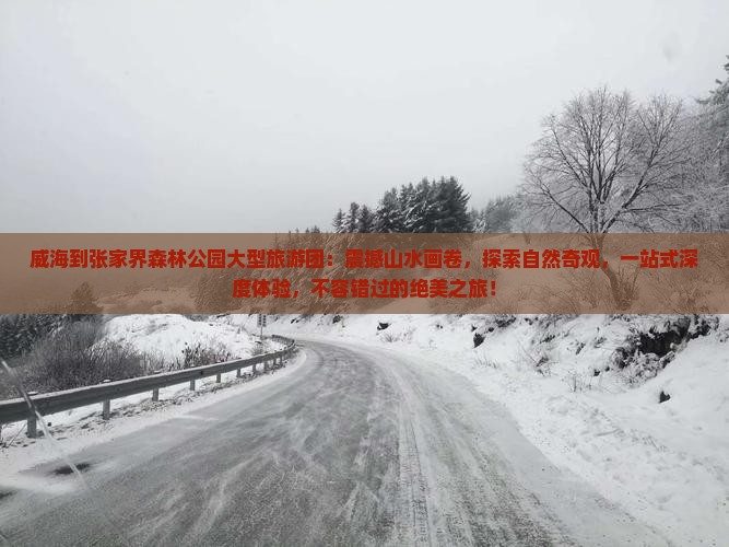 威海到张家界森林公园大型旅游团