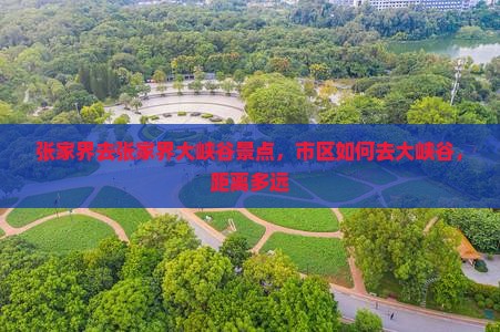 张家界去张家界大峡谷景点