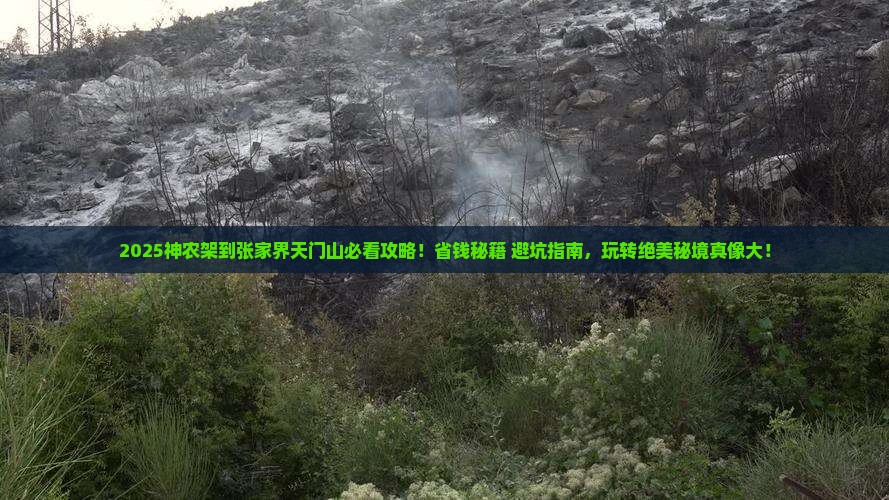 神农架到张家界天门山哪里玩