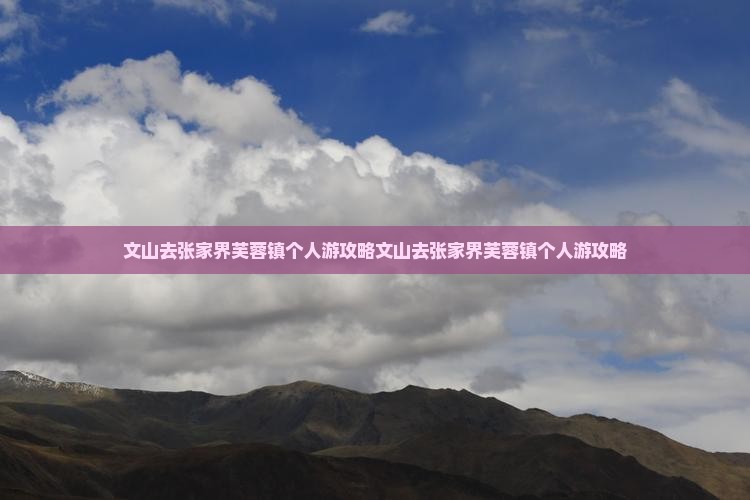 文山去张家界芙蓉镇个人游