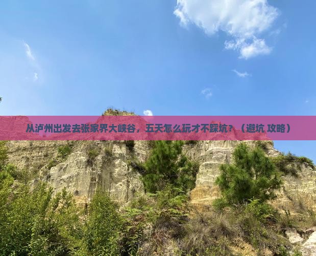 泸州去张家界大峡谷五日游