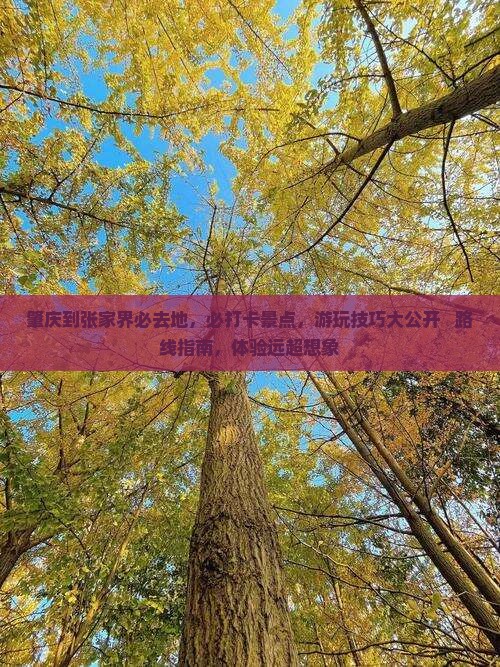 肇庆到张家界必去地