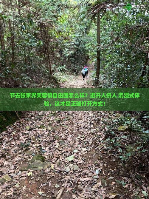国庆节去张家界芙蓉镇自由团