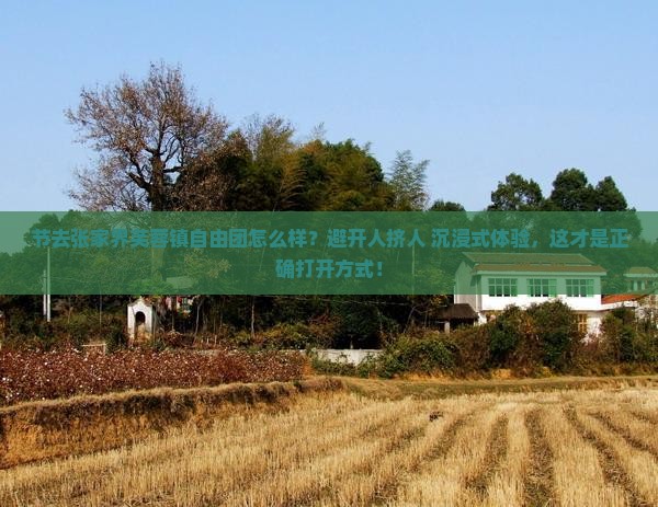 国庆节去张家界芙蓉镇自由团