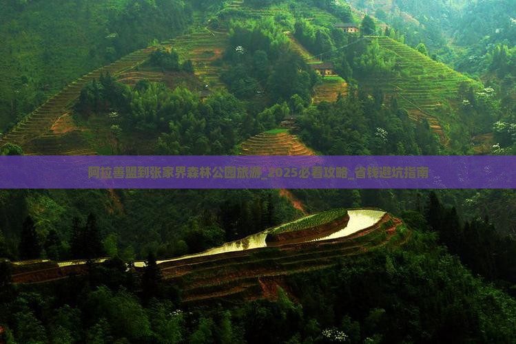 阿拉善盟到张家界森林公园旅游