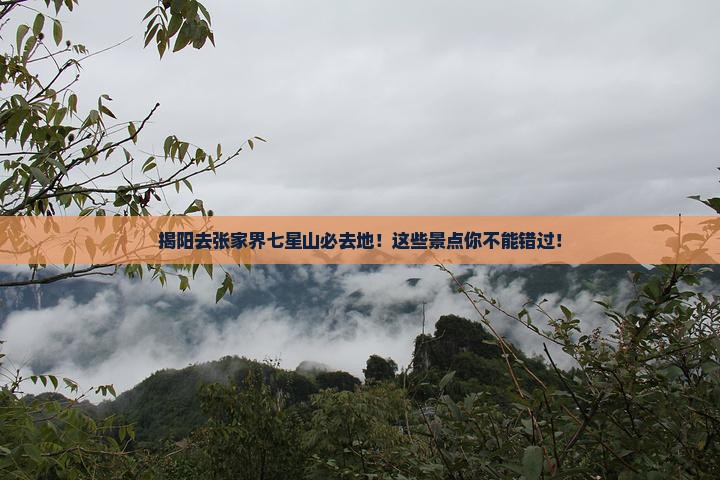 揭阳去张家界七星山必去地