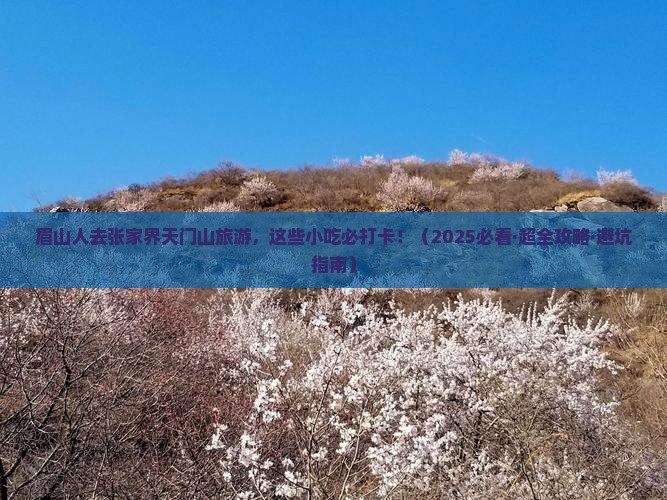 眉山去张家界天门山旅游小吃