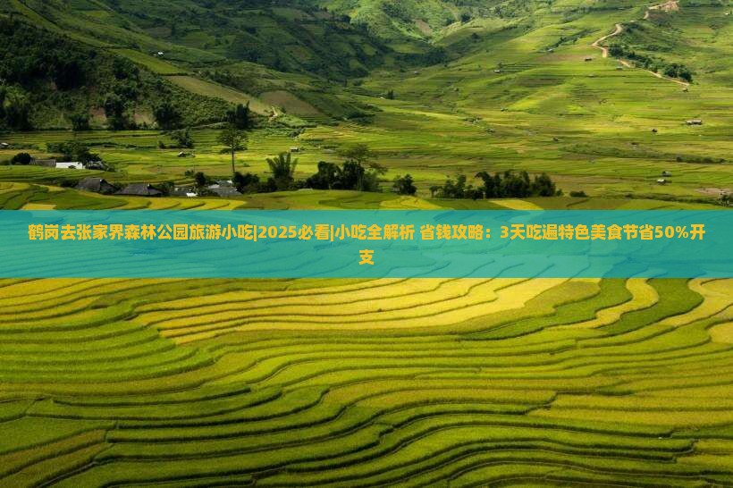 鹤岗去张家界森林公园旅游小吃