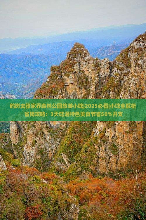 鹤岗去张家界森林公园旅游小吃