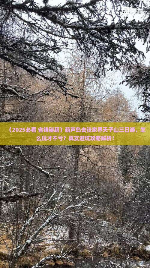 葫芦岛去张家界天子山三日游