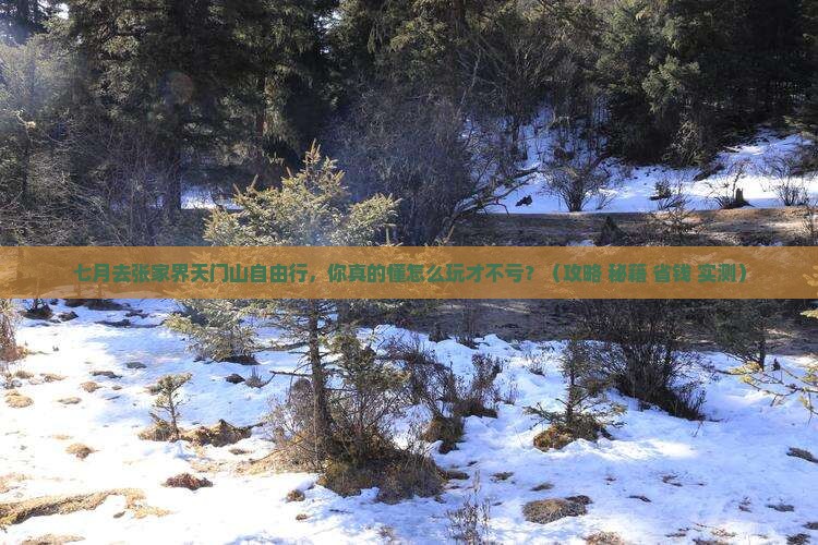 七月到张家界天门山自由行