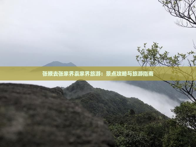 张掖去张家界袁家界旅游