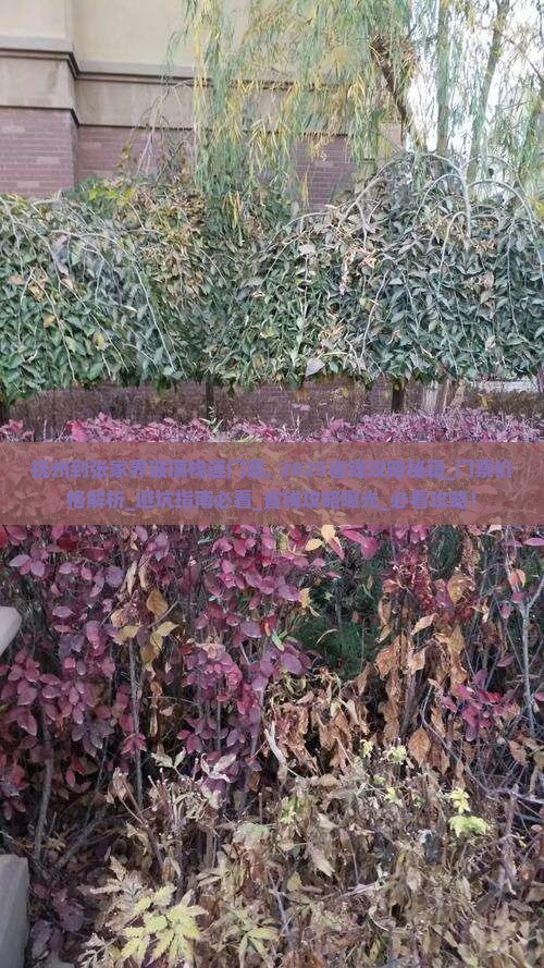 抚州到张家界玻璃栈道门票