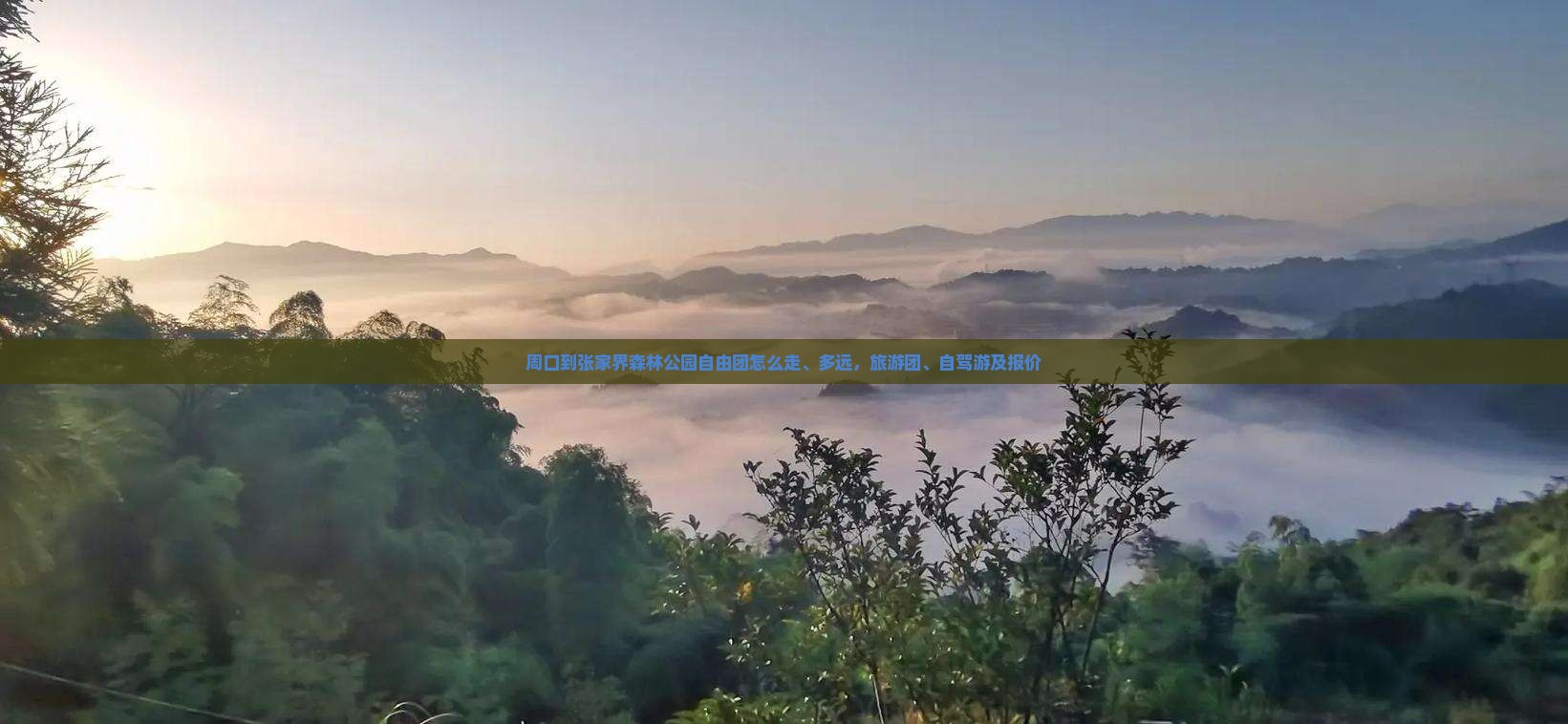 周口到张家界森林公园自由团