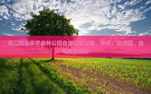 周口到张家界森林公园自由团