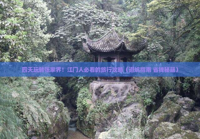 江门到张家界森林公园四日游